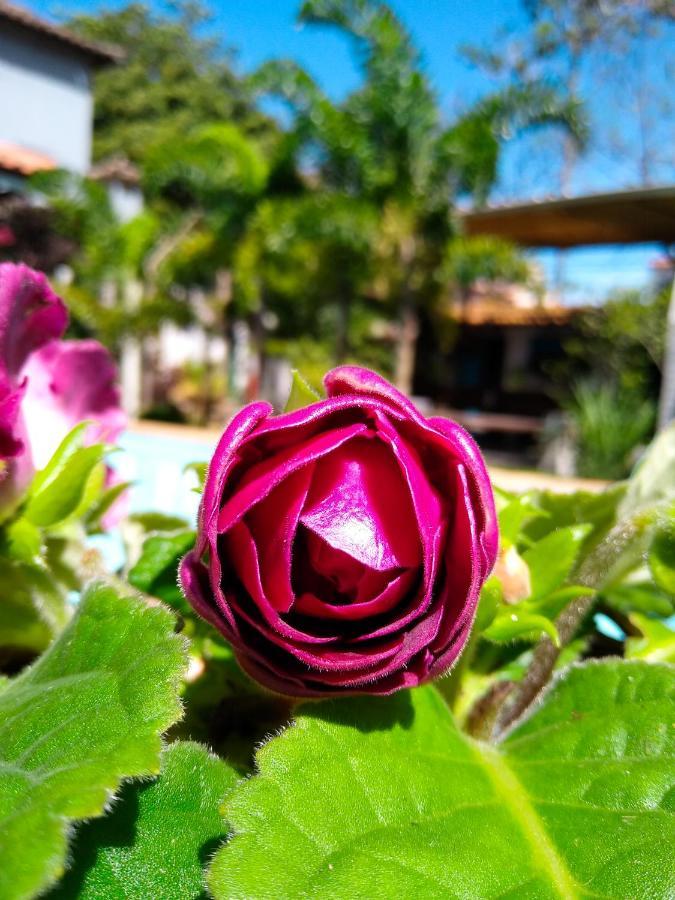 Jardim Secreto Guest House Armacao dos Buzios Dış mekan fotoğraf